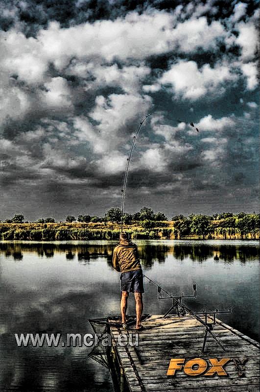 MeetCarp Romanian Awards 2013 - 1010051hdrmode2-2.jpg